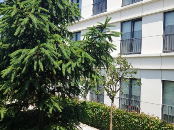 Apartments for sale in Kartal 