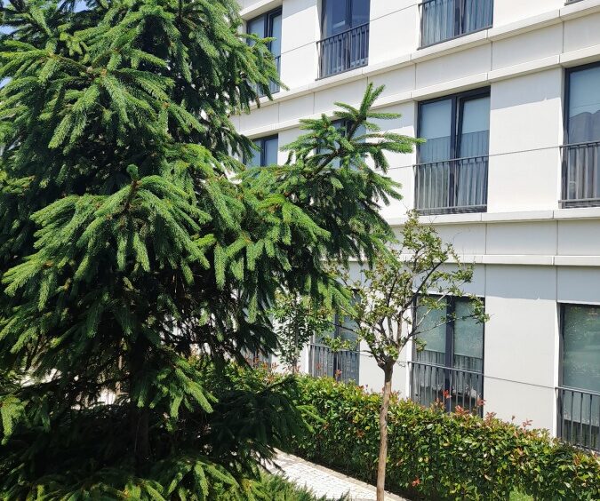 Apartments for sale in Kartal 